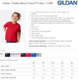 Team Kaladin T-Shirt Order